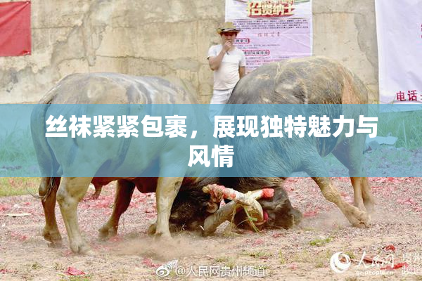 丝袜紧紧包裹，展现独特魅力与风情