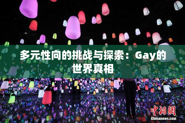 多元性向的挑战与探索：Gay的世界真相