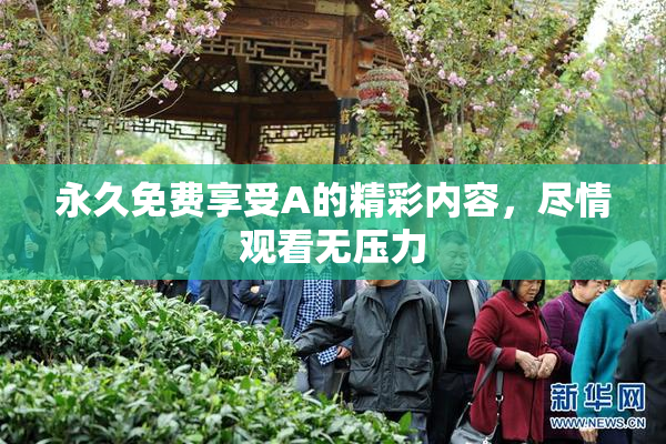 永久免费享受A的精彩内容，尽情观看无压力