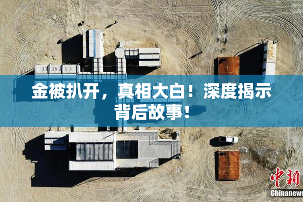 金被扒开，真相大白！深度揭示背后故事！