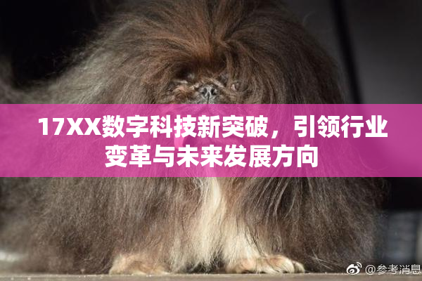 17XX数字科技新突破，引领行业变革与未来发展方向