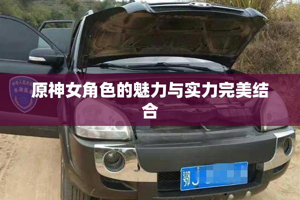 原神女角色的魅力与实力完美结合
