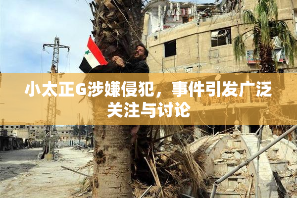 小太正G涉嫌侵犯，事件引发广泛关注与讨论