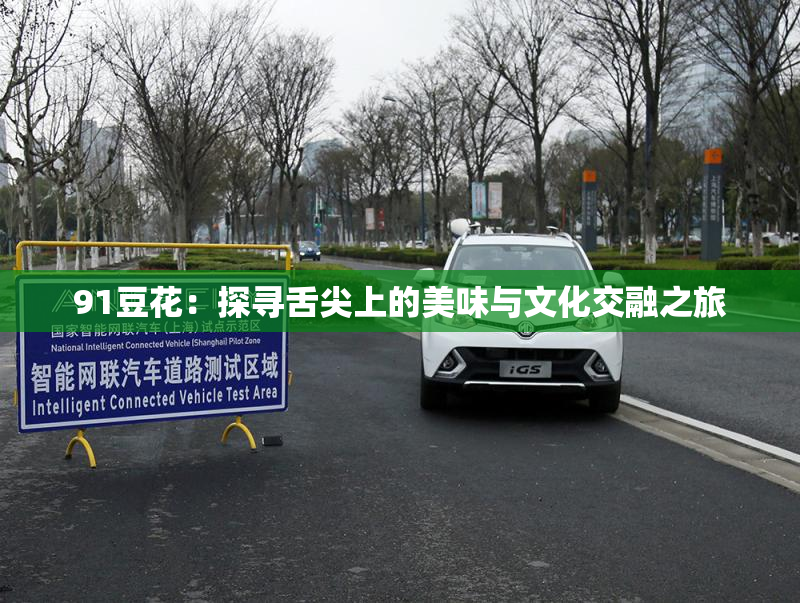 91豆花：探寻舌尖上的美味与文化交融之旅