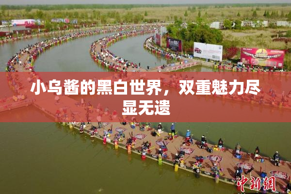 小乌酱的黑白世界，双重魅力尽显无遗