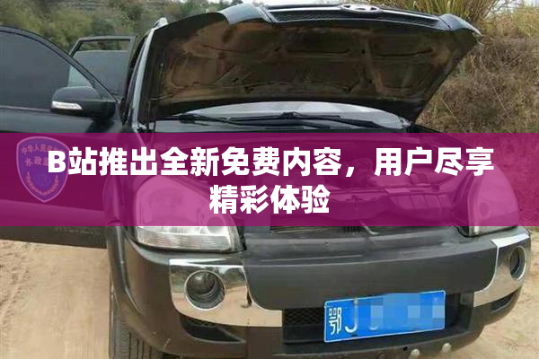B站推出全新免费内容，用户尽享精彩体验
