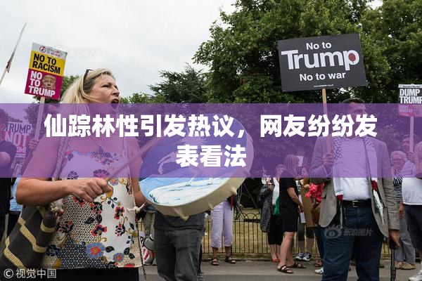 仙踪林性引发热议，网友纷纷发表看法