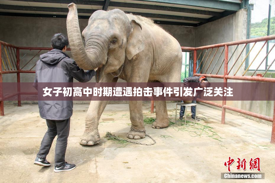 女子初高中时期遭遇拍击事件引发广泛关注