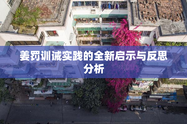 姜罚训诫实践的全新启示与反思分析