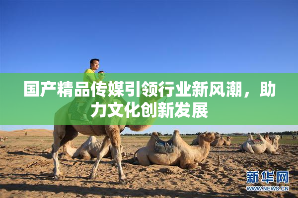 国产精品传媒引领行业新风潮，助力文化创新发展