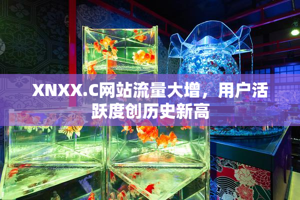 XNXX.C网站流量大增，用户活跃度创历史新高
