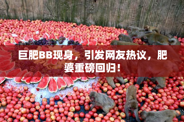 巨肥BB现身，引发网友热议，肥婆重磅回归！