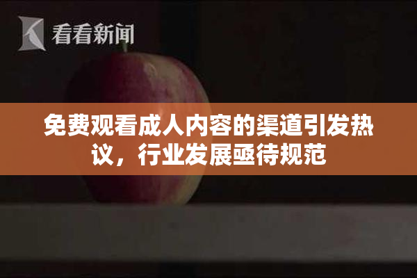 免费观看成人内容的渠道引发热议，行业发展亟待规范