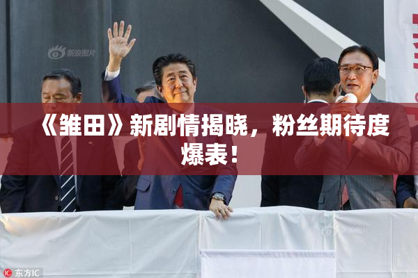 《雏田》新剧情揭晓，粉丝期待度爆表！