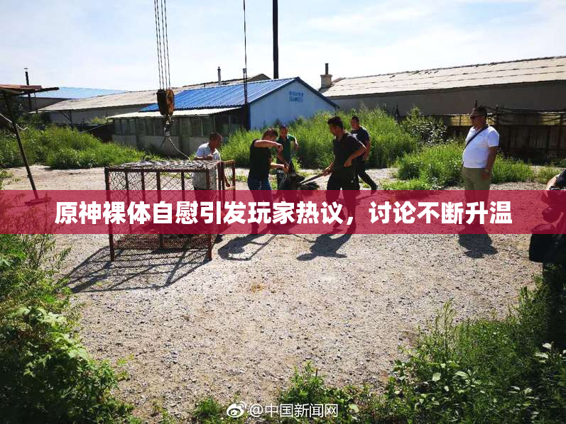 原神裸体自慰引发玩家热议，讨论不断升温