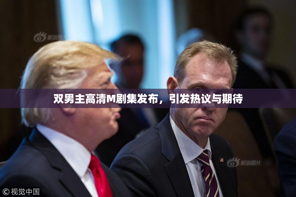 双男主高清M剧集发布，引发热议与期待