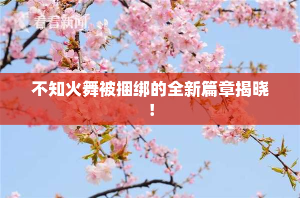 不知火舞被捆绑的全新篇章揭晓！
