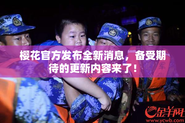 樱花官方发布全新消息，备受期待的更新内容来了！