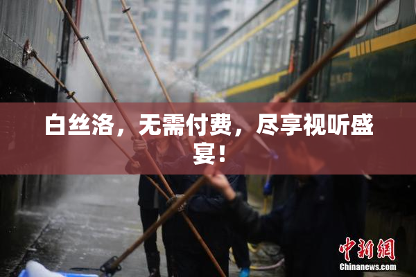 白丝洛，无需付费，尽享视听盛宴！