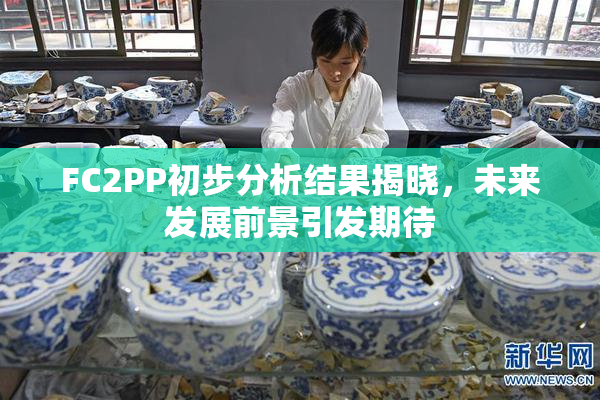 FC2PP初步分析结果揭晓，未来发展前景引发期待