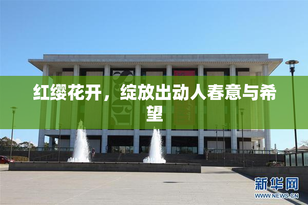 红缨花开，绽放出动人春意与希望