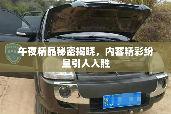 午夜精品秘密揭晓，内容精彩纷呈引人入胜