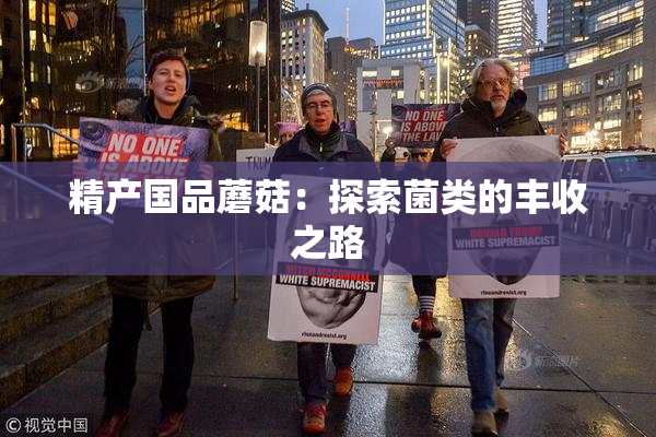 精产国品蘑菇：探索菌类的丰收之路