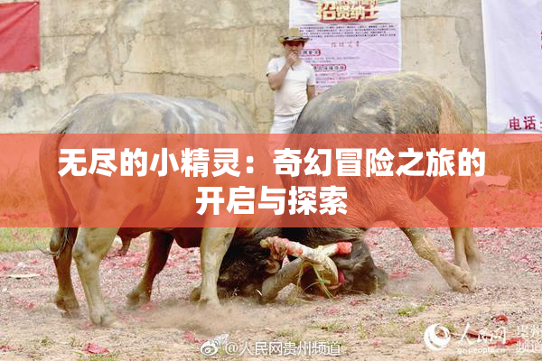 无尽的小精灵：奇幻冒险之旅的开启与探索