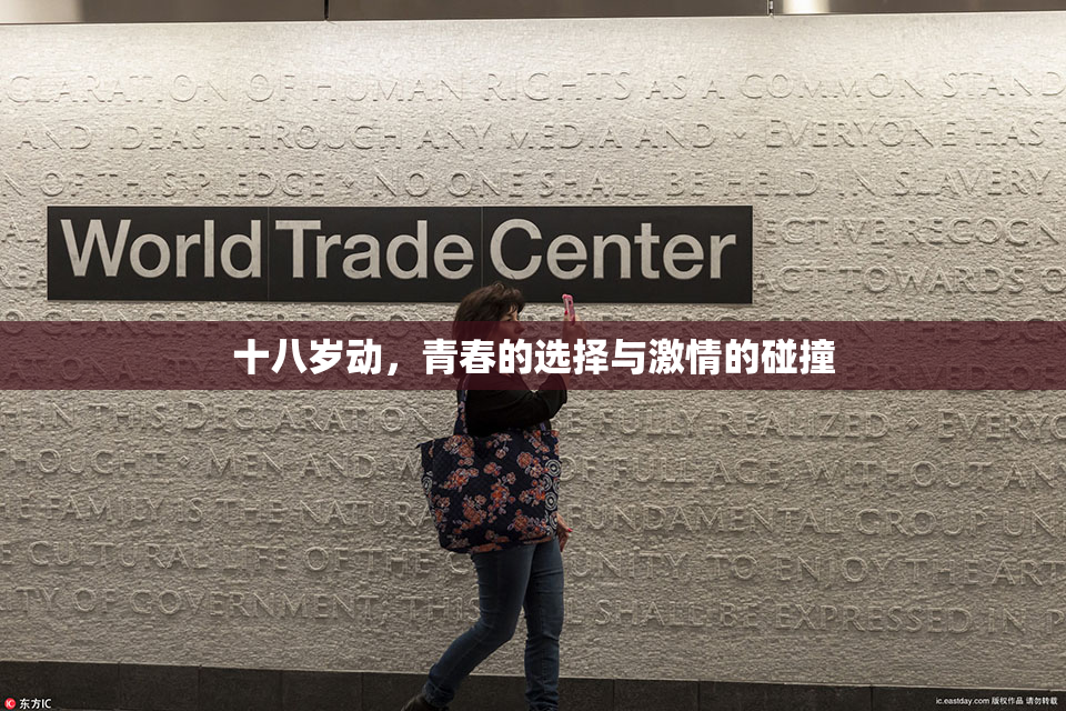十八岁动，青春的选择与激情的碰撞