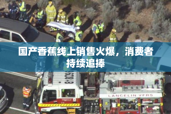 国产香蕉线上销售火爆，消费者持续追捧
