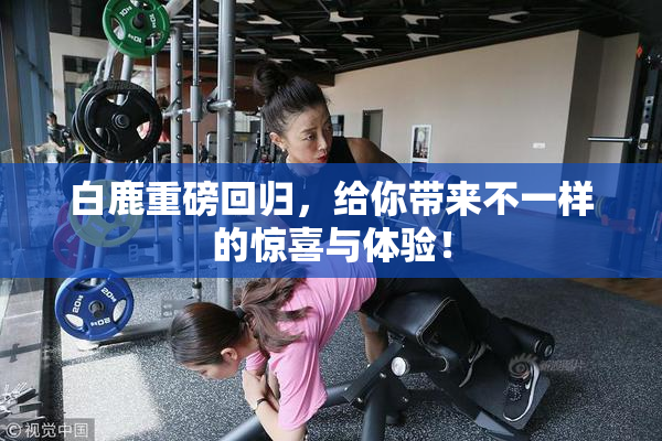 白鹿重磅回归，给你带来不一样的惊喜与体验！