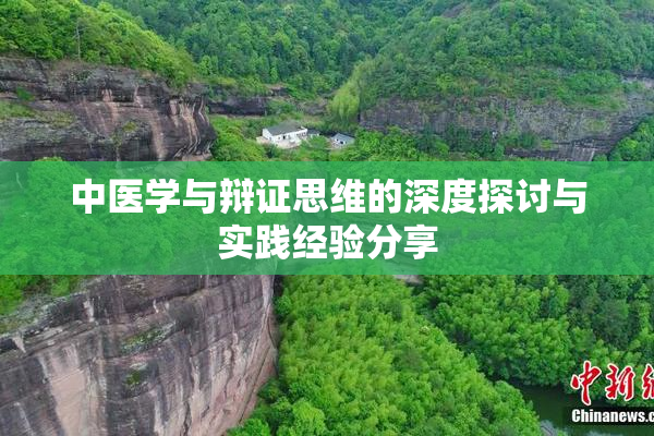 中医学与辩证思维的深度探讨与实践经验分享