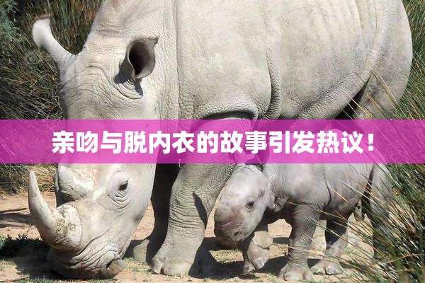 亲吻与脱内衣的故事引发热议！