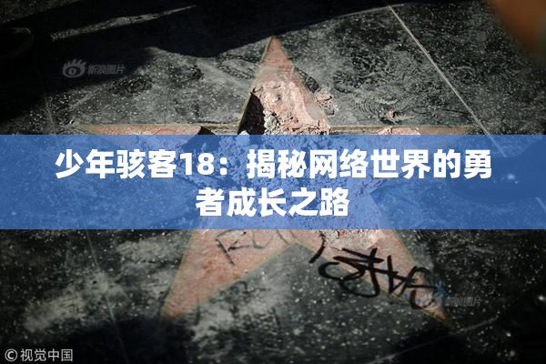 少年骇客18：揭秘网络世界的勇者成长之路