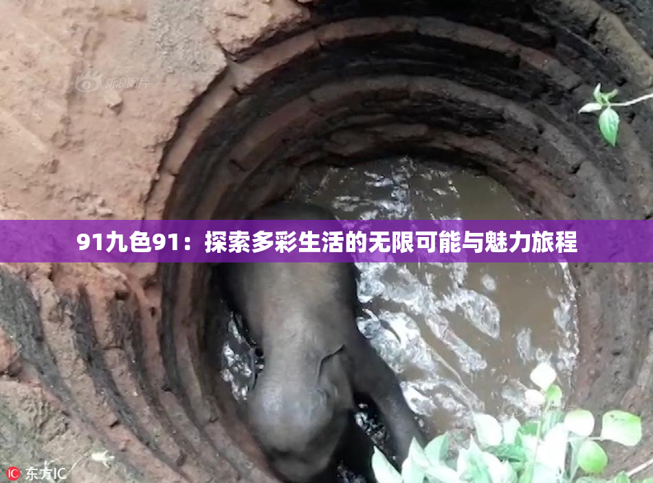 91九色91：探索多彩生活的无限可能与魅力旅程