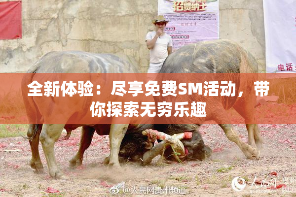 全新体验：尽享免费SM活动，带你探索无穷乐趣