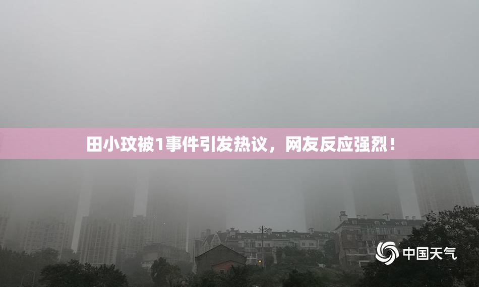 田小玟被1事件引发热议，网友反应强烈！