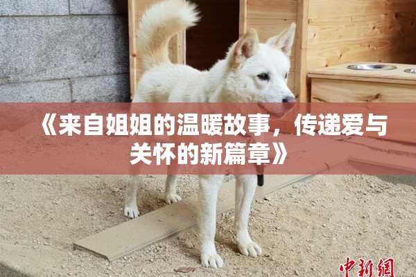 《来自姐姐的温暖故事，传递爱与关怀的新篇章》