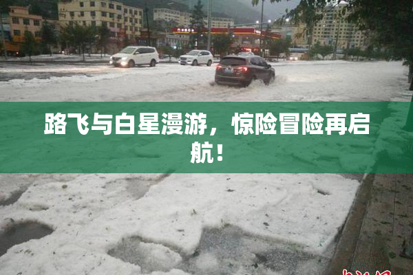 路飞与白星漫游，惊险冒险再启航！