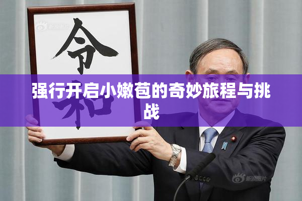 强行开启小嫩苞的奇妙旅程与挑战