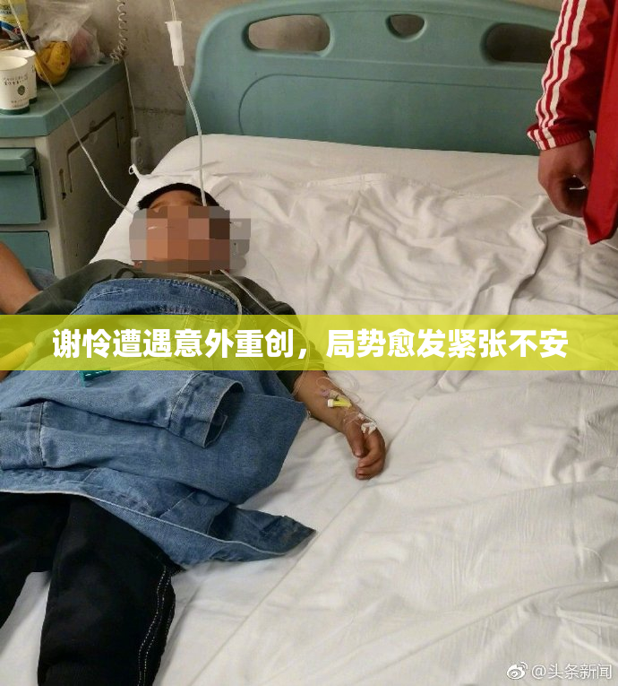 谢怜遭遇意外重创，局势愈发紧张不安