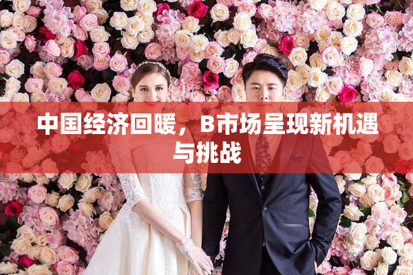 中国经济回暖，B市场呈现新机遇与挑战