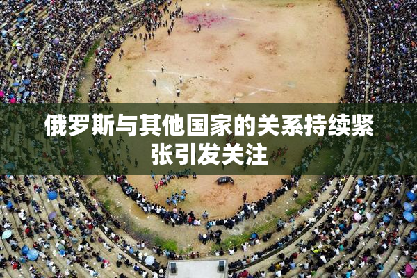 俄罗斯与其他国家的关系持续紧张引发关注