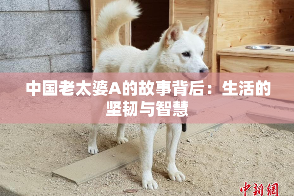 中国老太婆A的故事背后：生活的坚韧与智慧