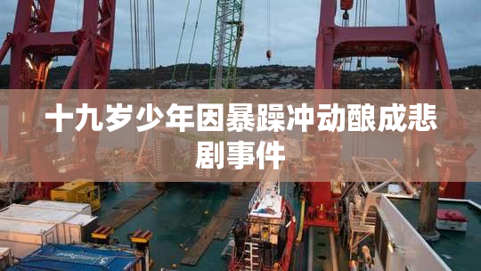 十九岁少年因暴躁冲动酿成悲剧事件