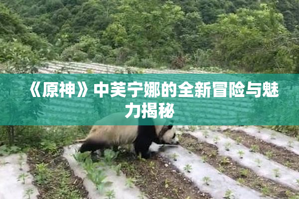 《原神》中芙宁娜的全新冒险与魅力揭秘
