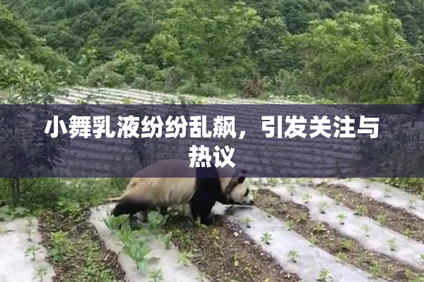小舞乳液纷纷乱飙，引发关注与热议