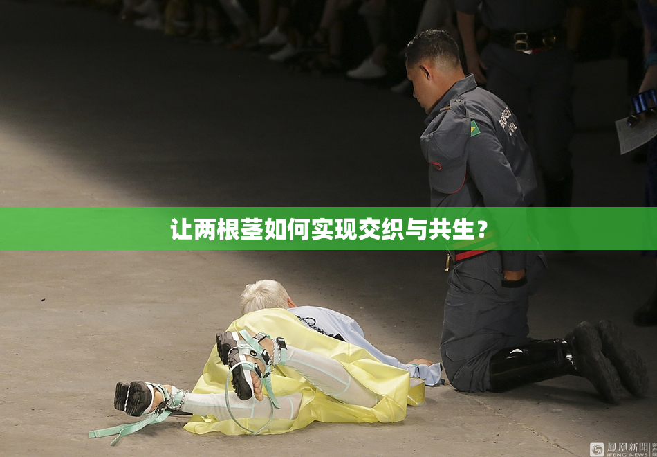 让两根茎如何实现交织与共生？