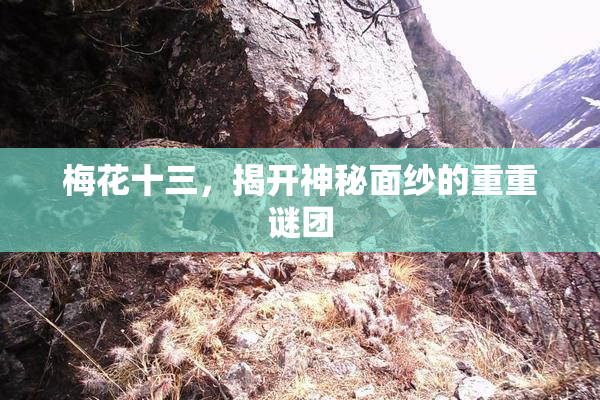 梅花十三，揭开神秘面纱的重重谜团