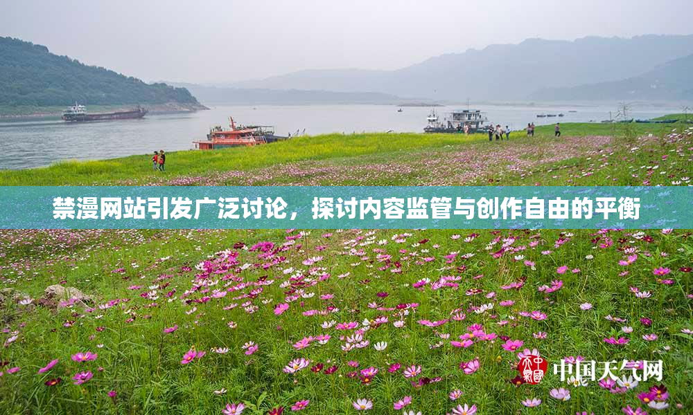 禁漫网站引发广泛讨论，探讨内容监管与创作自由的平衡
